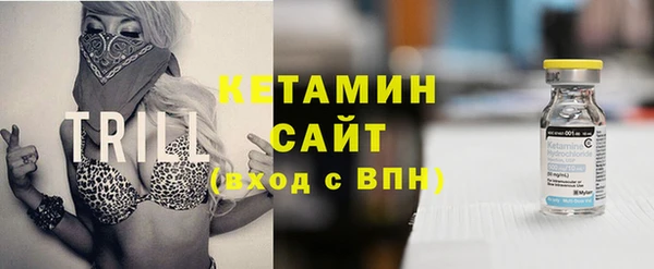 шишки Богородицк