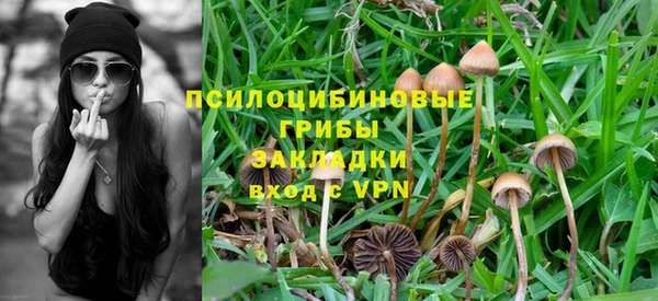 эйфоретик Бугульма