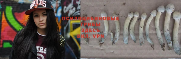 ПСИЛОЦИБИНОВЫЕ ГРИБЫ Бородино