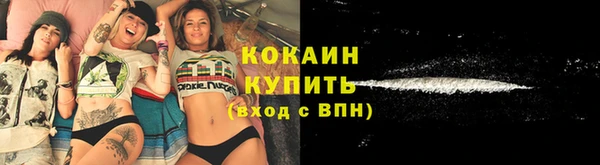 сатива Верея