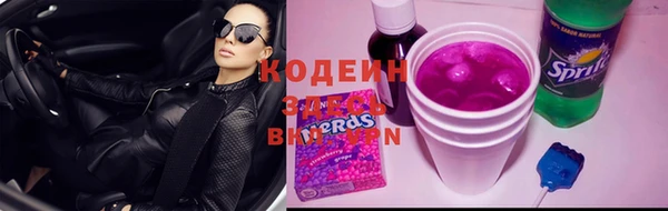 сатива Верея