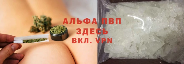 ПСИЛОЦИБИНОВЫЕ ГРИБЫ Бородино