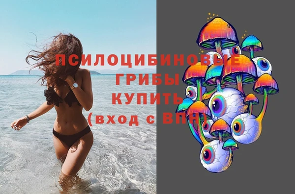 ПСИЛОЦИБИНОВЫЕ ГРИБЫ Бородино